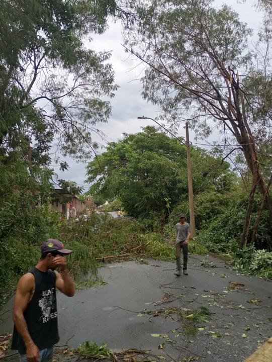 Foto 32 de 40 — Veja fotos do cenário em Boa Esperança do Sul após forte temporal